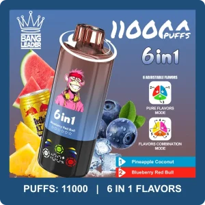 Bang Leader 110K Puffs 6 in 1 Disposable Vape Wholesale
