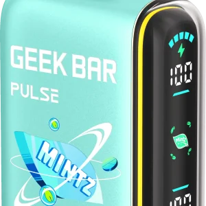 Icey Mintz Geek Bar Pulse