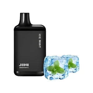 JIDU Ice Box Disposable Vape 5500 Puffs – Ice Mint