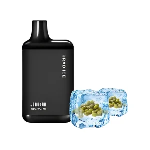 JIDU Ice Box Disposable Vape 5500 Puffs – Mung Bean Ice