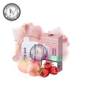 Toob Bar Disposable Vape 5000 Puffs
