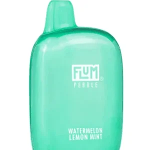 Watermelon Lemon Mint Flum Pebble