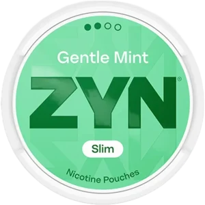 ZYN Gentle Mint Nicotine Pouches – 6mg (5 Pack)